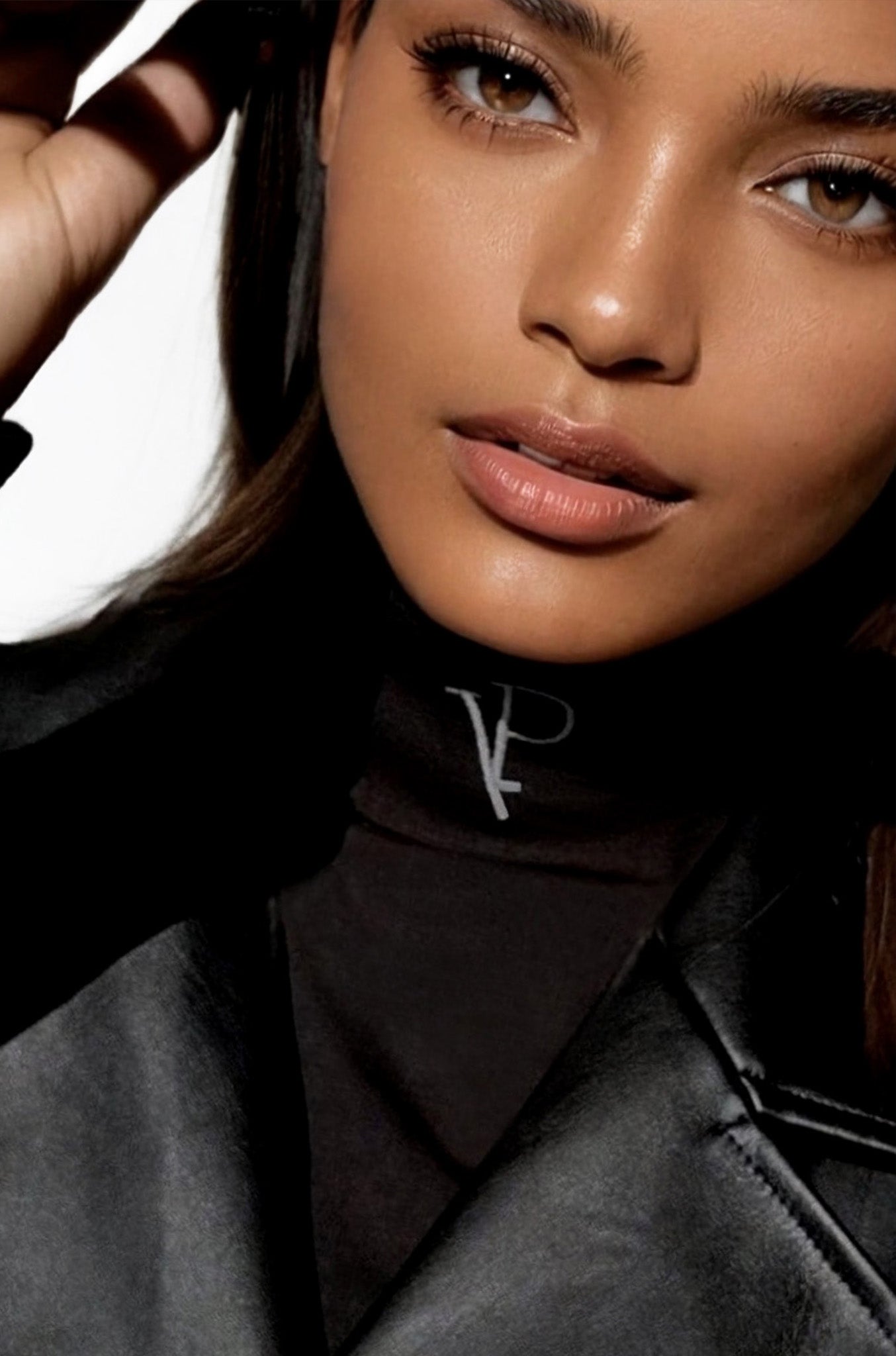 TURTLENECK